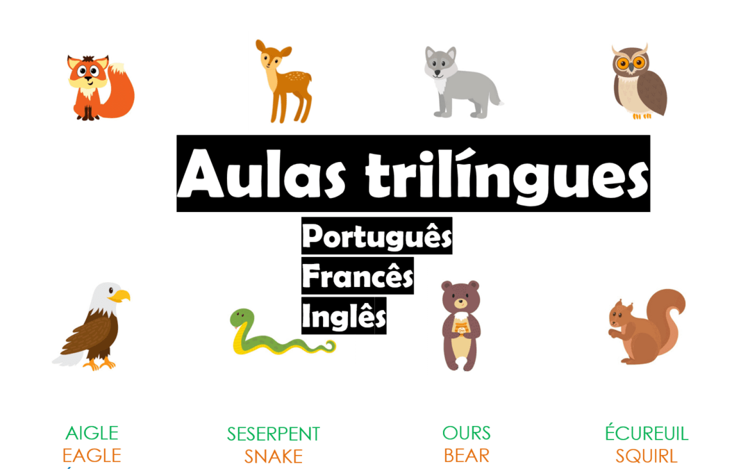 Escola Trilíngue – Aulas em Português, Francês e Inglês